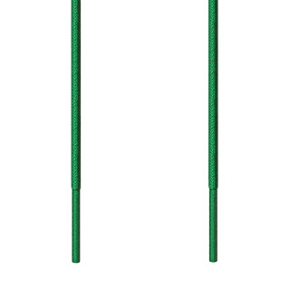 Lacets fins verts